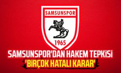 Samsunspor'dan hakem tepkisi 'Birçok hatalı karar'