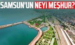 Samsun'un neyi meşhur? İşte 81 ilin en meşhur şeyi