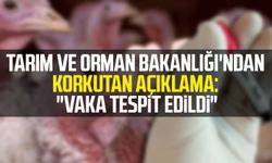 Tarım ve Orman Bakanlığı'ndan korkutan açıklama: "Vaka tespit edildi"