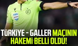 Türkiye - Galler maçının hakemi belli oldu!