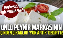 Ünlü peynir markasının içinden çıkanlar 'Yok artık' dedirtti!