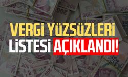 Vergi yüzsüzleri listesi açıklandı!