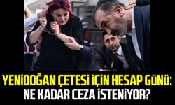 Yenidoğan çetesi için hesap günü: Ne kadar ceza isteniyor?