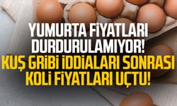 Yumurta fiyatları durdurulamıyor! Kuş gribi iddiaları sonrası koli fiyatları uçtu