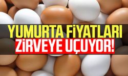 Yumurta fiyatları zirveye uçuyor!