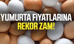 Yumurta fiyatlarına rekor zam!