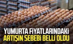 Yumurta fiyatlarındaki artışın sebebi belli oldu