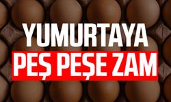 Yumurtaya peş peşe zam