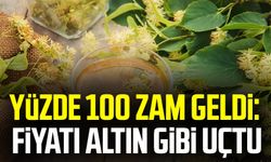 Yüzde 100 zam geldi: Fiyatı altın gibi uçtu