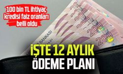 100 bin TL ihtiyaç kredisi faiz oranları belli oldu: İşte 12 aylık ödeme planı