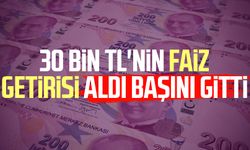 30 bin TL'nin faiz getirisi aldı başını gitti