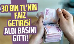 30 bin TL'nin faiz getirisi aldı başını gitti!