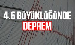 4.6 büyüklüğünde deprem