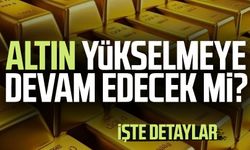 Altın yükselmeye devam edecek mi?