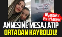 Annesine mesaj atıp ortadan kayboldu! Diyarbakır Ecrin'i arıyor