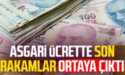 Asgari ücrette son rakamlar ortaya çıktı