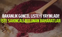 Bakanlık güncel listeyi yayınladı! İşte sakıncalı bulunan baharatlar