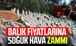 Balık fiyatlarına soğuk hava zammı