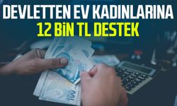 Devletten ev kadınlarına 12 bin TL destek