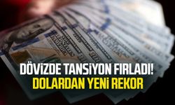 Dövizde tansiyon fırladı! Dolardan Yeni Rekor