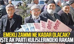 Emekli zammı ne kadar olacak? İşte AK Parti kulislerindeki rakam