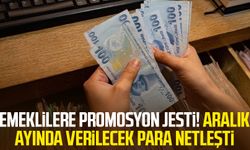 Emeklilere promosyon jesti! Aralık ayında verilecek para netleşti