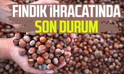 Fındık ihracatında son durum