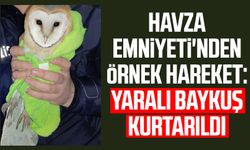 Havza Emniyeti'nden örnek hareket: Yaralı baykuş kurtarıldı