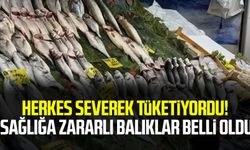 Herkes severek tüketiyordu! Sağlığa zararlı balıklar belli oldu