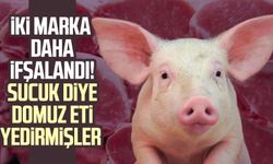 İki marka daha ifşalandı! Sucuk ve kaburga diye domuz eti yedirmişler