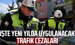 İşte yeni yılda uygulanacak trafik cezaları