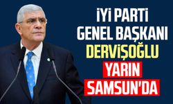 İYİ Parti Genel Başkanı Müsavat Dervişoğlu yarın Samsun'da