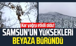 Kar yağışı etkili oldu! Samsun'un yüksekleri beyaza büründü