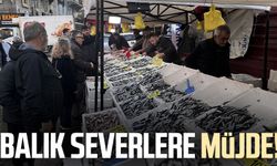 Karadeniz'de balık severlere müjde!