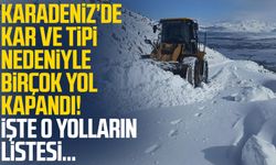 Karadeniz’de kar ve tipi nedeniyle birçok yol kapandı! İşte o yolların listesi…