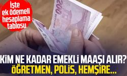 Kim ne kadar emekli maaşı alır? Öğretmen, polis, hemşire...