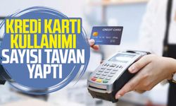 Kredi kartı kullanımı artışta: Türkiye'de kişi başına düşen kart sayısı 2'ye çıktı