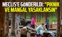 Meclis'e gönderildi: "Piknik ve mangal yasaklansın"