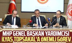 MHP Genel Başkan Yardımcısı İlyas Topsakal'a önemli görev