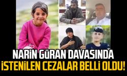 Narin Güran davasında istenilen cezalar belli oldu!