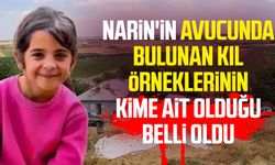 Narin'in avucunda bulunan kıl örneklerinin kime ait olduğu belli oldu