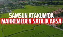 Samsun Atakum'da mahkemeden satılık arsa