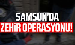 Samsun Bafra'da zehir operasyonu!