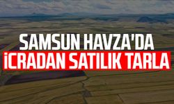 Samsun Havza'da icradan satılık tarla