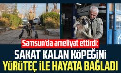 Samsun'da ameliyat ettirdi: Sakat kalan köpeğini yürüteç ile hayata bağladı