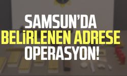 Samsun Tekkeköy'de belirlenen adrese operasyon