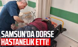 Samsun'da dorse hastanelik etti!