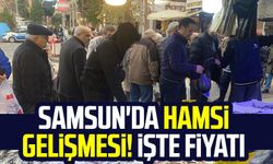 Samsun'da hamsi gelişmesi! İşte fiyatı