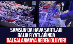 Samsun'da hava şartları balık fiyatlarında dalgalanmaya neden oluyor!