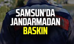 Samsun'da jandarmadan baskın